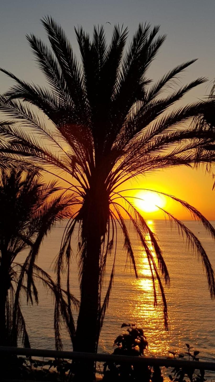 בנאלמדנה Aloha Beach Vibe מראה חיצוני תמונה